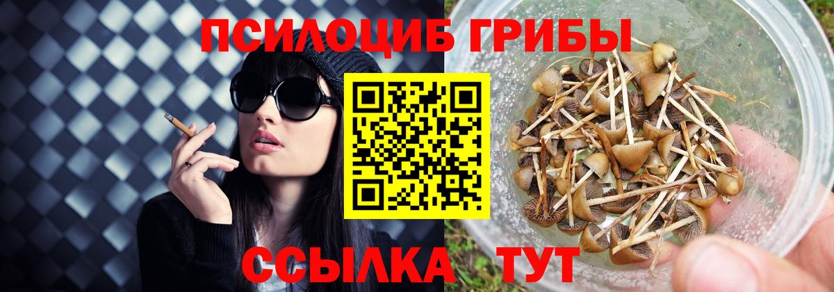 Псилоцибиновые грибы MAGIC MUSHROOMS  Вход с VPN  Курск 